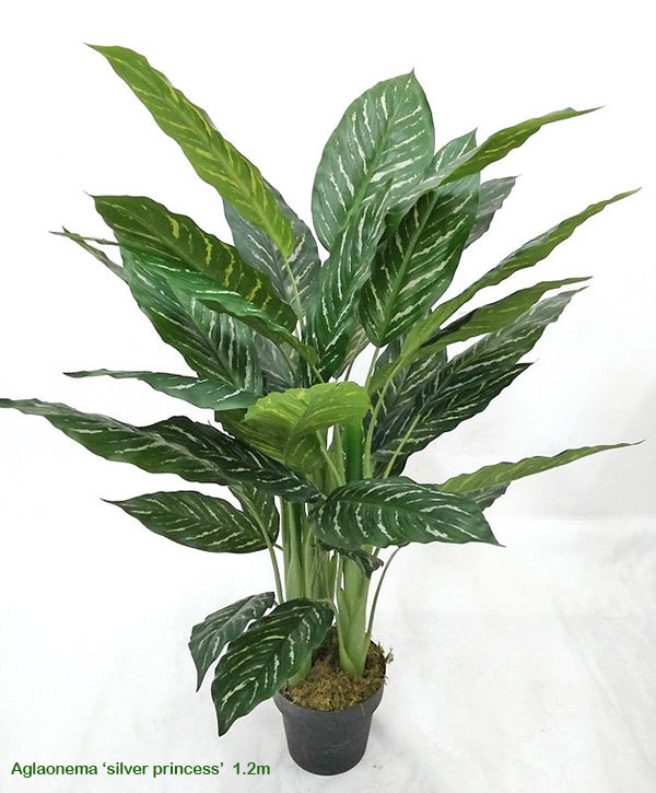 Articial Plants - Silver Princess Plant 1.2m