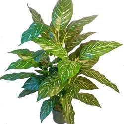 Silver Princess Plant 1.2m - artificial plants, flowers & trees - image 2