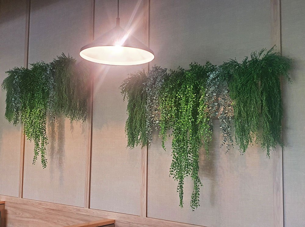 UV-Trailer: 'Silver Falls' Fern 70cm