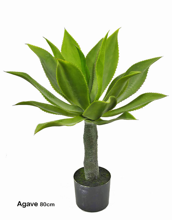 Articial Plants - Agave 80cm