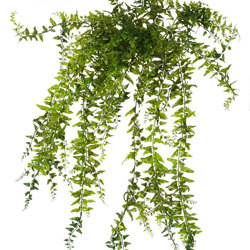 Bakers Fern - artificial plants, flowers & trees - image 1