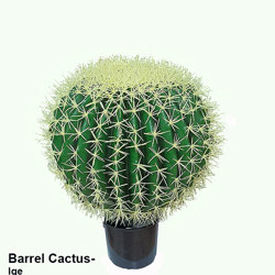 Barrel Cactus- lge - artificial plants, flowers & trees - image 10