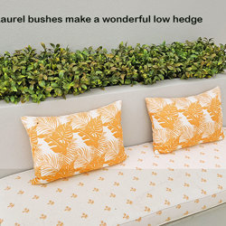 Bay Laurel Bush- UV-treated - artificial plants, flowers & trees - image 3