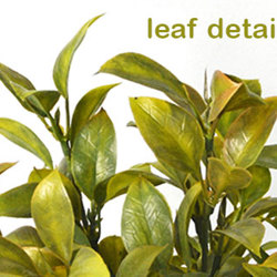Bay Laurel Bush- UV-treated - artificial plants, flowers & trees - image 1