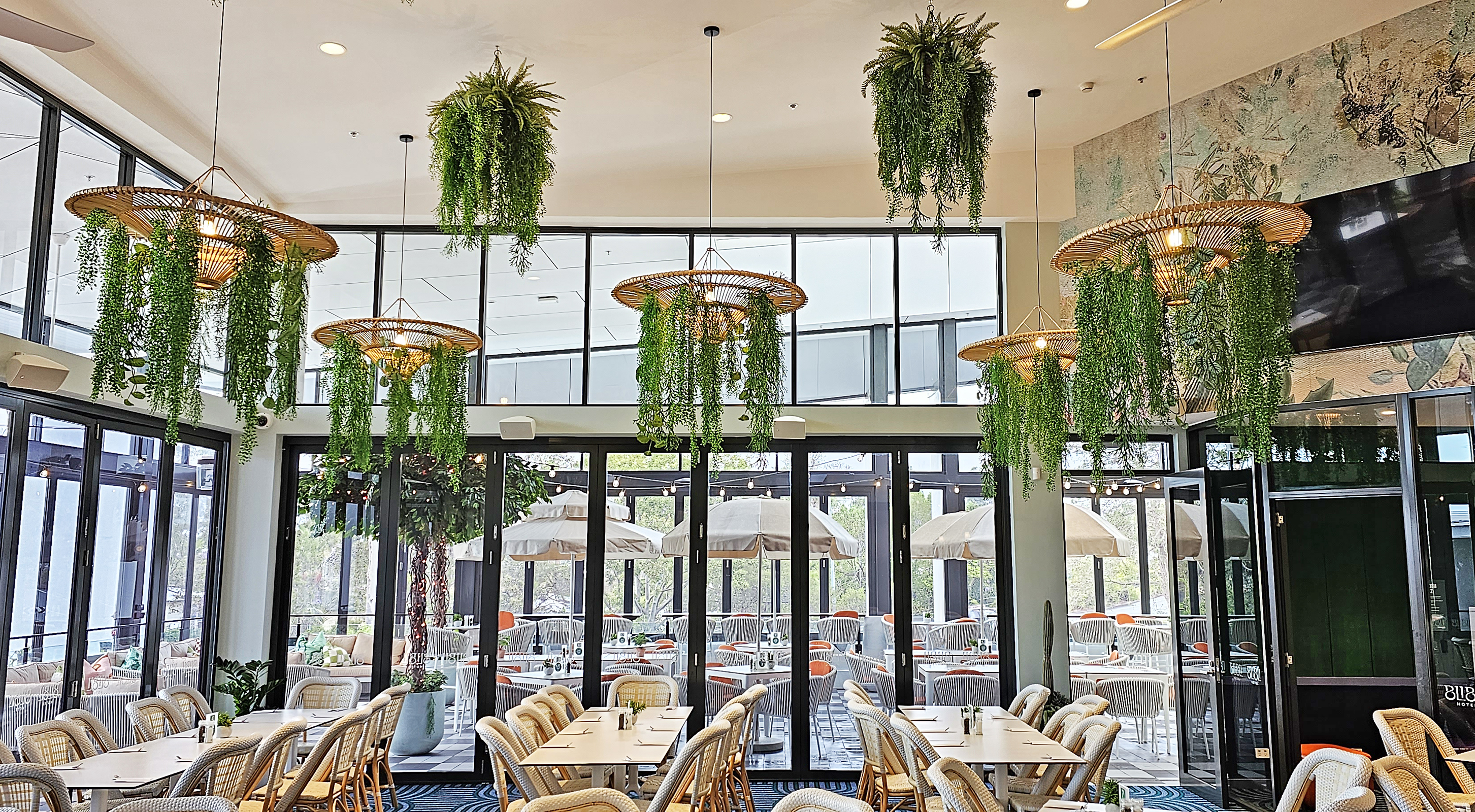 UV-Trailer: Trailing Succulent Fern 70cm