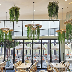 UV-Trailer: Trailing Succulent Fern 70cm  - artificial plants, flowers & trees - image 8