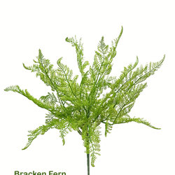 Bracken Fern - artificial plants, flowers & trees - image 10