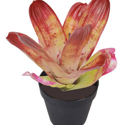 Bromeliad- mottled pink in plastic pot    - artificial plants, flowers & trees - image 10