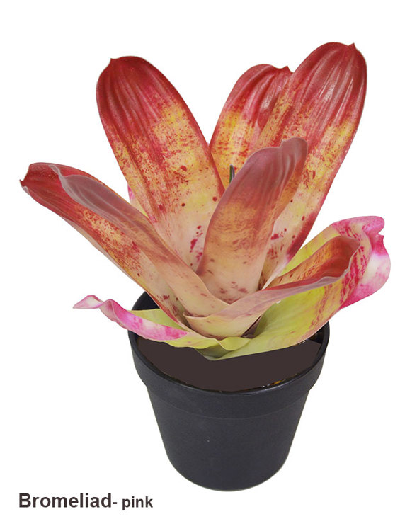 Articial Plants - Bromeliad- mottled pink in plastic pot   