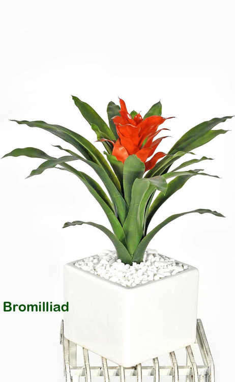 Articial Plants - Bromilliad in white pot with pebbles