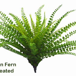 Button Fern UV-treated - artificial plants, flowers & trees - image 10