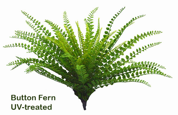 Articial Plants - Button Fern UV-treated