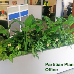 Lilly Plant [spathiphylum] 90cm - artificial plants, flowers & trees - image 4