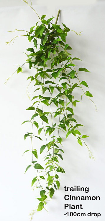 Articial Plants - Trailing Cinnamon Plant