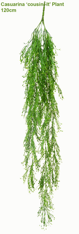 Articial Plants - UV-Trailer: Casuarina 'cousin-It' Plant 120cm