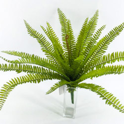 Fish-bone Ferns unpotted [large] - artificial plants, flowers & trees - image 4