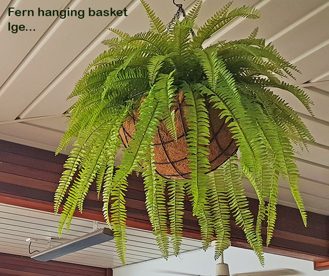 Hanging Baskets- Artificial Ferns (large)