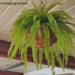 Hanging Baskets- Artificial Ferns (large) - artificial plants, flowers & trees - image 7