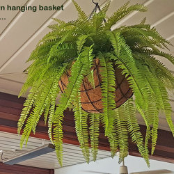 Hanging Baskets- Artificial Ferns (large) - artificial plants, flowers & trees - image 6