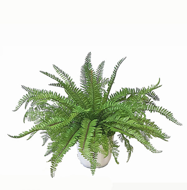 Articial Plants - Greenery Bowls- Mixed Ferns
