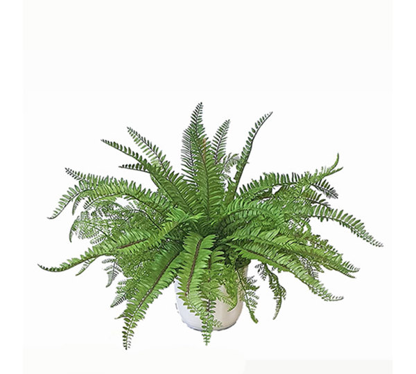 Greenery Bowls- Mixed Ferns