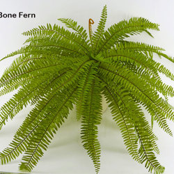 Fish-bone Ferns unpotted [large] - artificial plants, flowers & trees - image 3