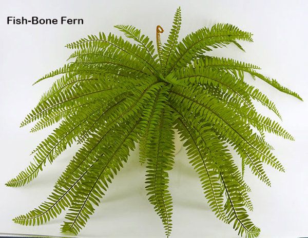 Articial Plants - Fish-bone Ferns unpotted [large]