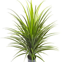 Grass Bush [Pony-Tail] 90cm - artificial plants, flowers & trees - image 3