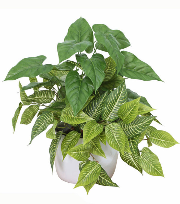 Articial Plants - Greenery Bowls- Anthurium & Zebra mix