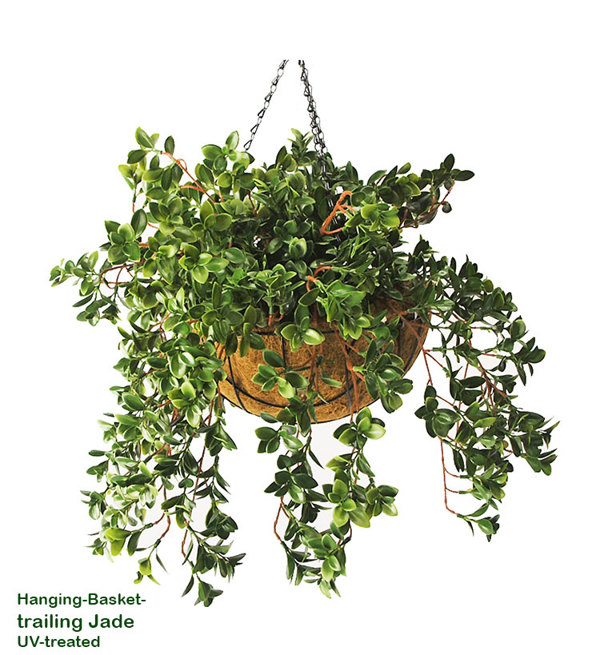 Articial Plants - Hanging Baskets- Jade UV {medium}