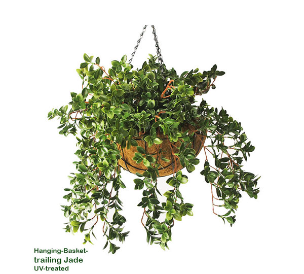 Hanging Baskets- Jade UV {small}