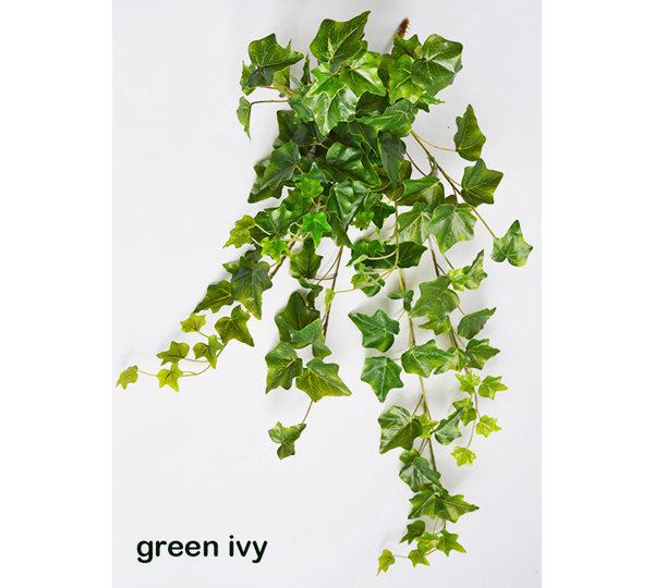Ivy Bush- green