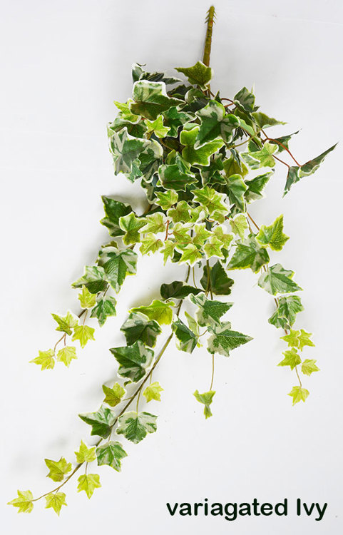 Articial Plants - Ivy Bush- variagated [devil's ivy]