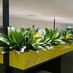Agave - artificial plants, flowers & trees - image 2