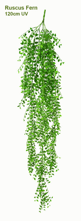 Articial Plants - UV-Trailer: Ruscus Fern 120cm