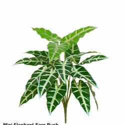 Mini Elephant-Ears green/grey - artificial plants, flowers & trees - image 1