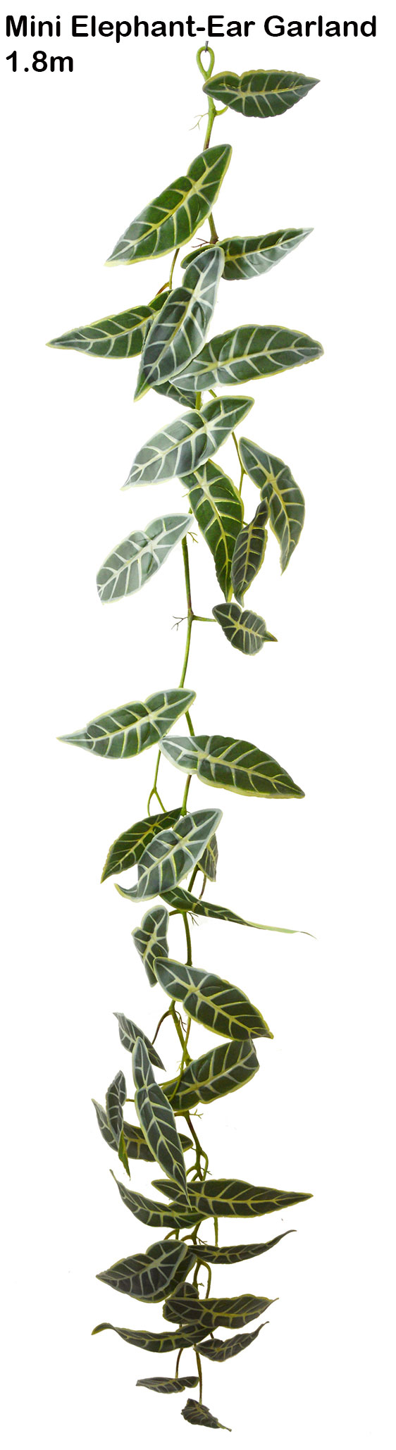 Trailing Vine- 1.75m Mini Elephant Ear
