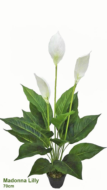 Articial Plants - Madonna Lilly- 75cm x 3 flowers