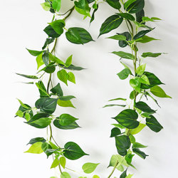 Trailing Vines- Philo Garland [philodendron] - artificial plants, flowers & trees - image 10