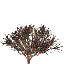 Podocarpus Bush- Burgundy [UV-treated] - artificial plants, flowers & trees - image 2