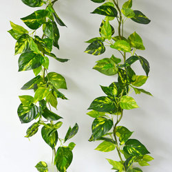 Trailing Vines- Philo Garland [philodendron] - artificial plants, flowers & trees - image 9