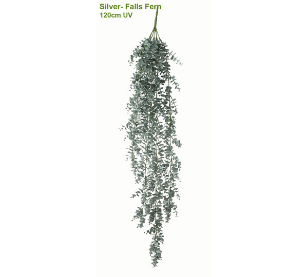 UV-Trailer: 'Silver Falls' Fern 120cm