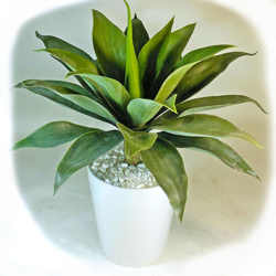 Agaves [unpotted] - Small (Test) - artificial plants, flowers & trees - image 1