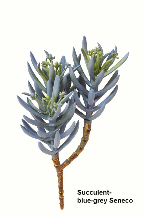 Articial Plants - Succulent- Blue-Grey Seneco