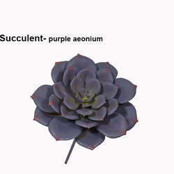 Succulent- Purple Echeveria - artificial plants, flowers & trees - image 10