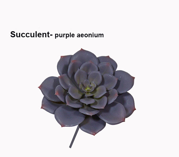 Articial Plants - Succulent- Purple Echeveria