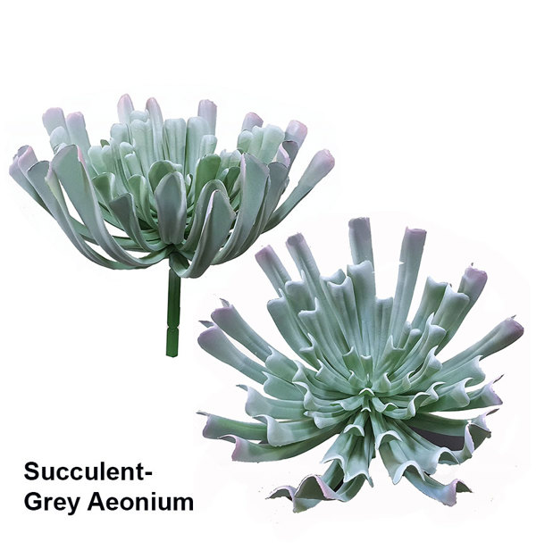 Articial Plants - Succulent- Grey Aeonium