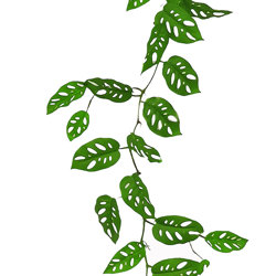 Trailing Vine- 1.75m Swiss Cheese Plant - artificial plants, flowers & trees - image 2