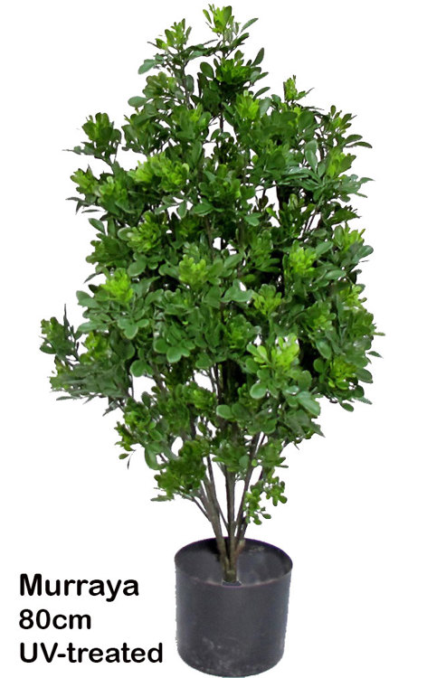 Articial Plants - UV-Bush Murraya 80cm