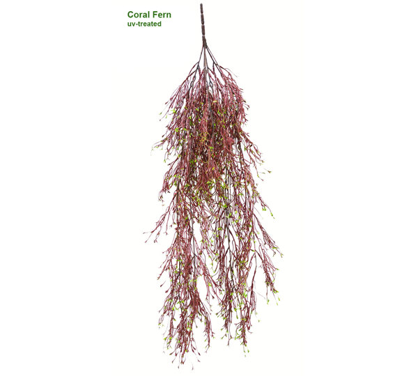 UV-Trailer: Coral Fern 70cm